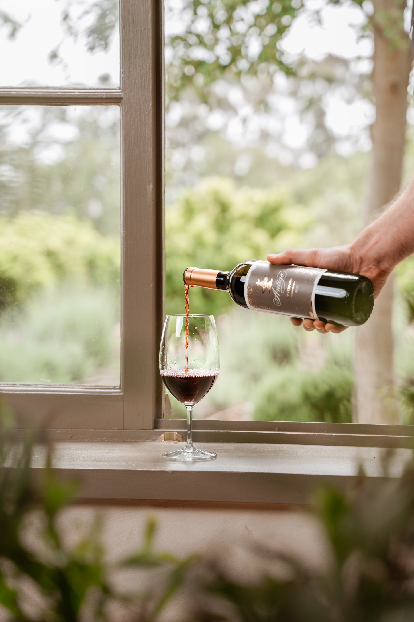 A Variety of Cabernet